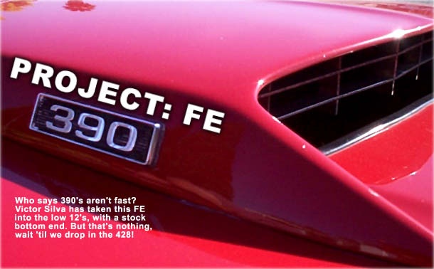 Project FE!